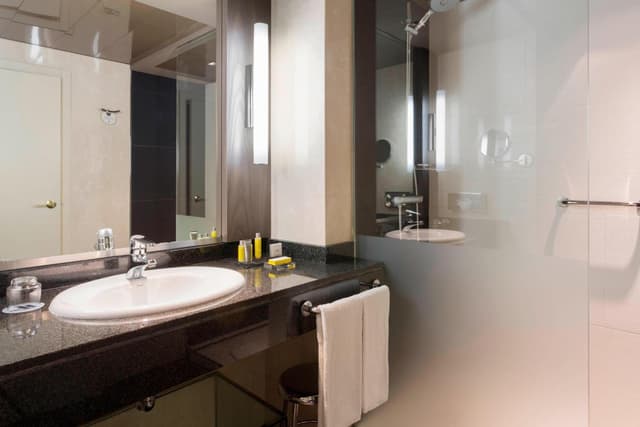Habitación Premium King · foto 4