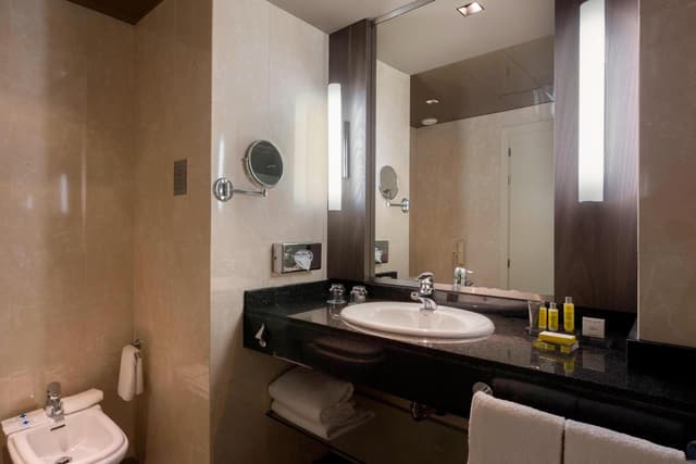 Habitación Premium King · foto 2