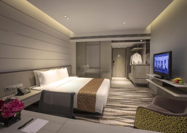 Deluxe Double or Twin Room · photo 2