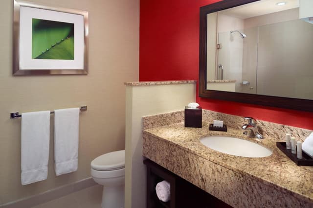 Habitación de huéspedes, 1 cama King · foto 6