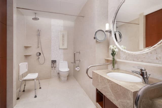 Deluxe King Room · photo 8