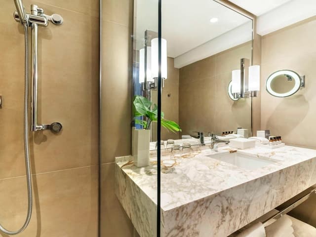 Deluxe King Room with City View · foto 7