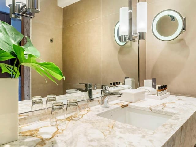 Fairmont King Room with City View · foto 7