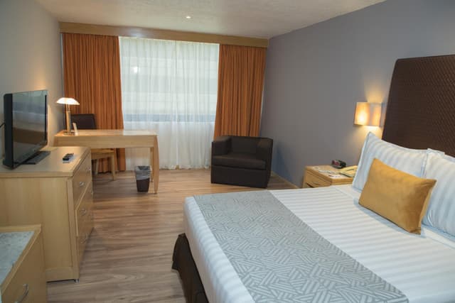 King Room · foto 3