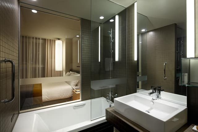 Deluxe Double Room · photo 3