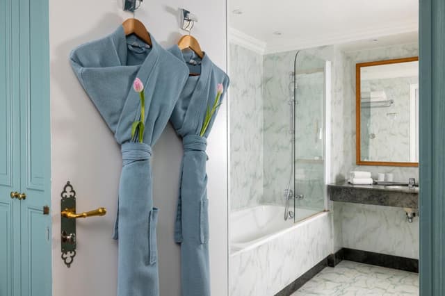 Deluxe Room · photo 6