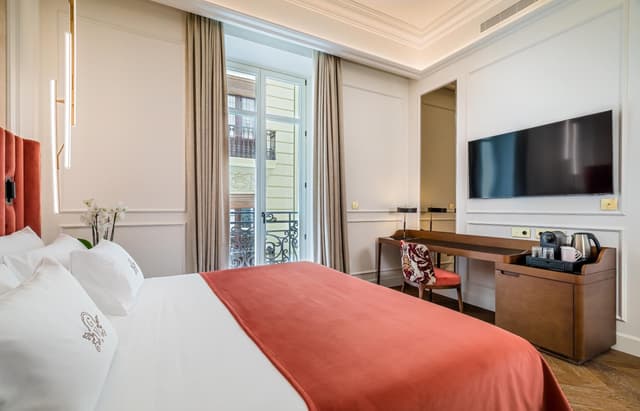 Deluxe Double Room with Balcony · photo 7