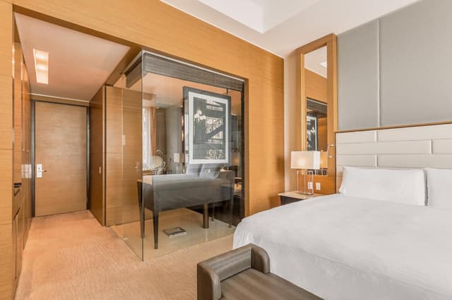 Deluxe King Room · photo 8