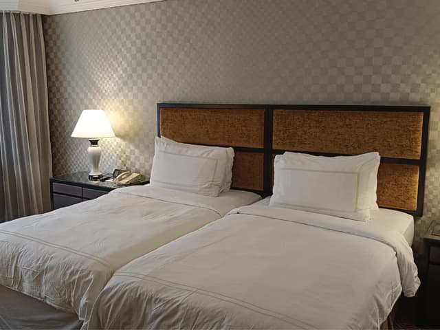 Deluxe Room with Two Single Beds · foto 3