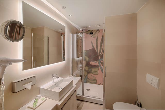 Habitación Doble o Twin Deluxe · foto 2