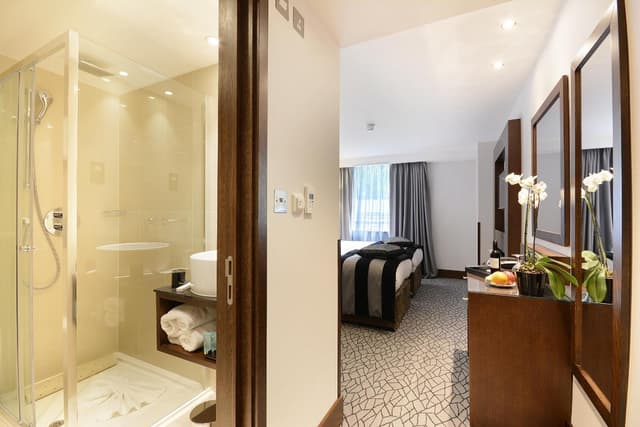 Deluxe Double Room · photo 3