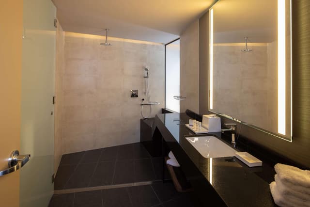 Queen Room with Roll-In Shower - Mobility and Hearing Access · photo 5