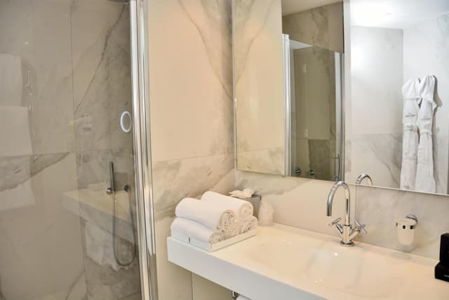Deluxe Double or Twin Room · photo 7