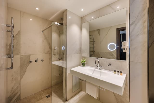 Deluxe Double or Twin Room · photo 8