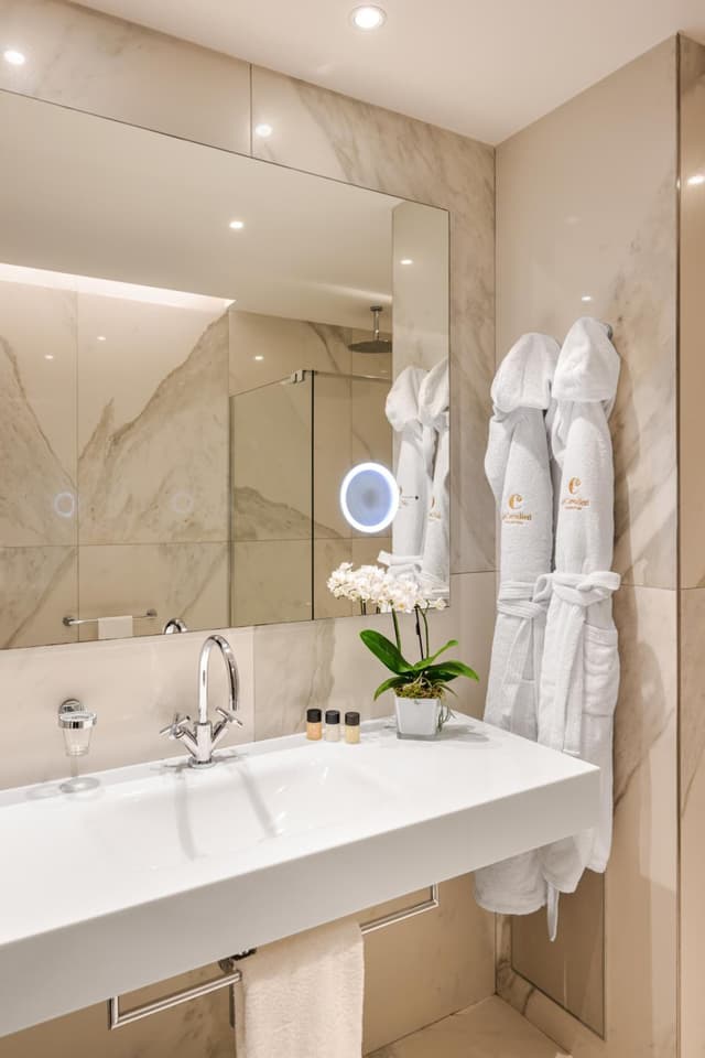Deluxe Double or Twin Room · photo 3