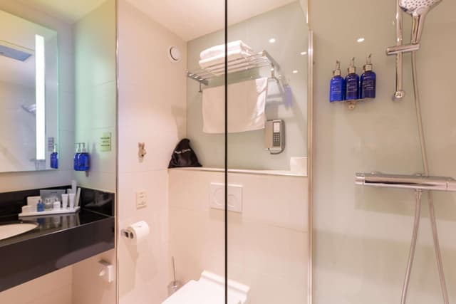 Habitación Doble Estándar o con Dos Camas Individuales. · foto 7
