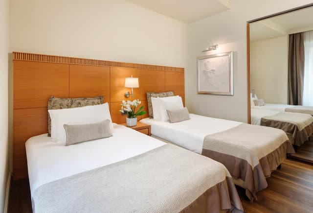Habitación Doble Clásica o con Dos Camas Individuales · foto 8