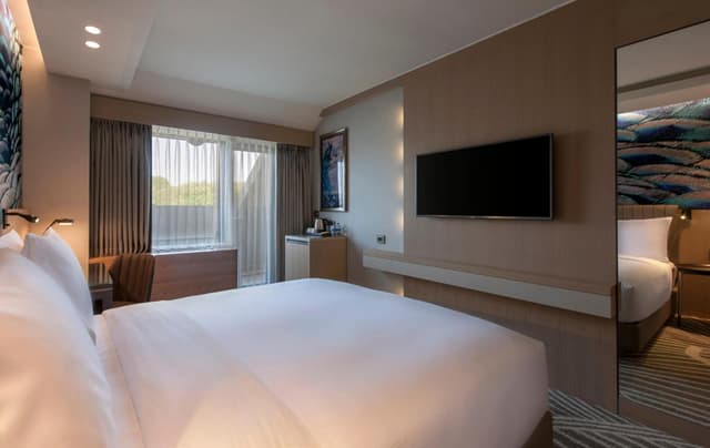 Queen Room with Balcony · photo 5