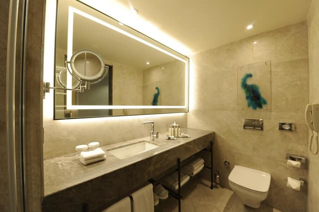 Deluxe Twin Room · photo 2