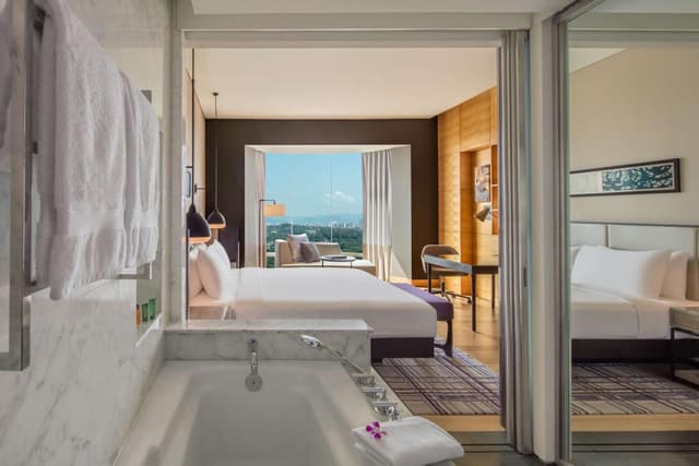 Deluxe King Room with Lake View · photo 4