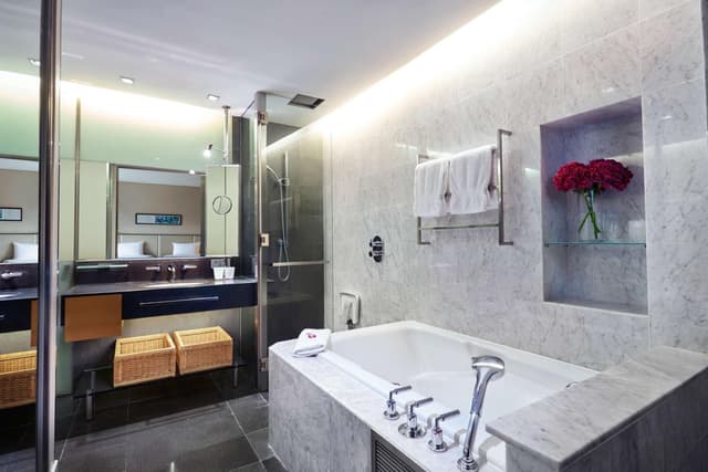 Deluxe Twin Room · photo 3