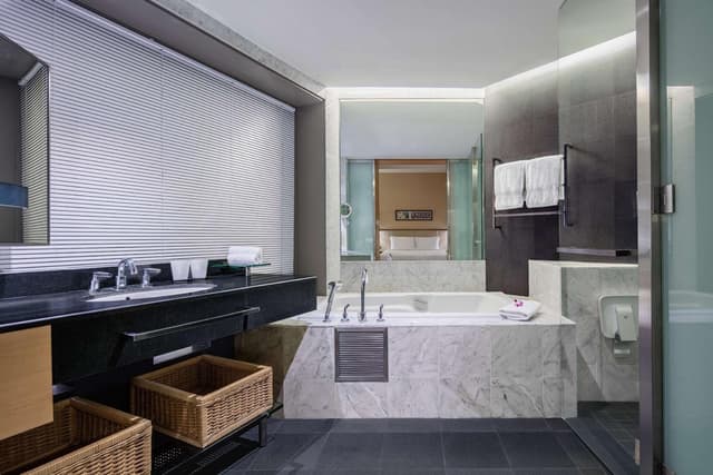 King Deluxe Plus Room · photo 3