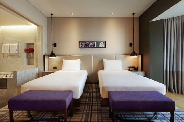 Deluxe Twin Room · photo 4
