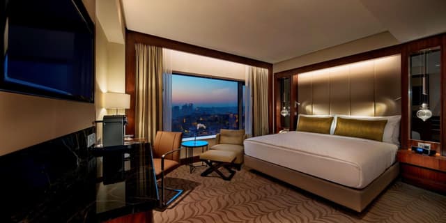 Deluxe King Room · photo 1