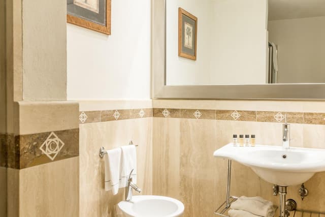 Superior Double or Twin Room · foto 5