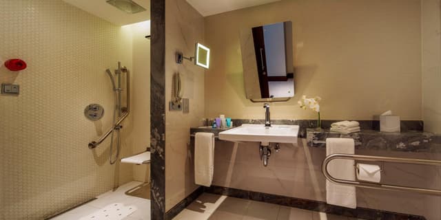 Deluxe King Room - Wheelchair Accessible · photo 2