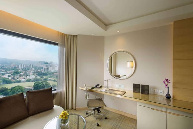 Deluxe King Room · photo 4