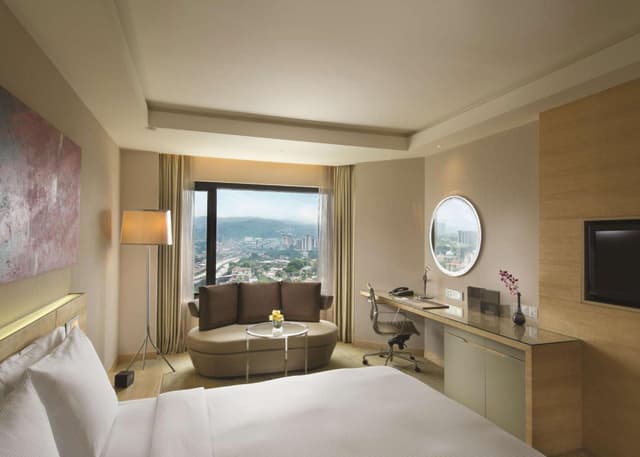 Deluxe King Room - Mountain View · photo 4