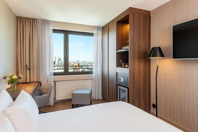 Superior Double or Twin Room with City View · foto 6