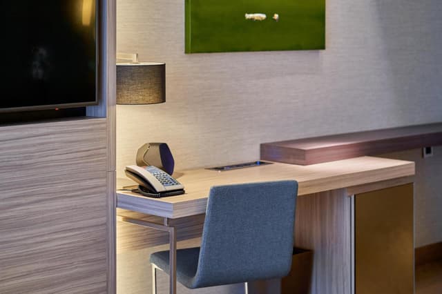 Deluxe Double or Twin Room · photo 2