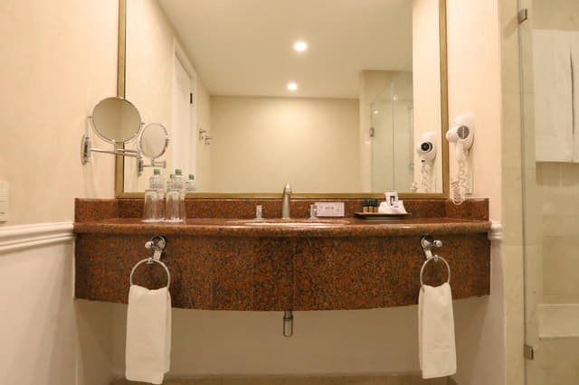 Deluxe Double Room · foto 5