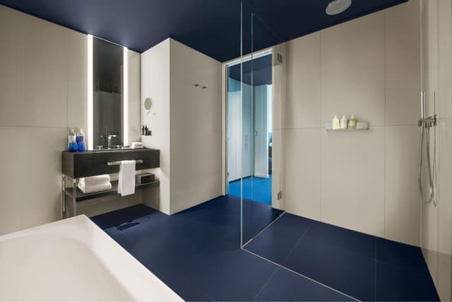 Deluxe Studio, Studio, 1 King, City view · foto 4