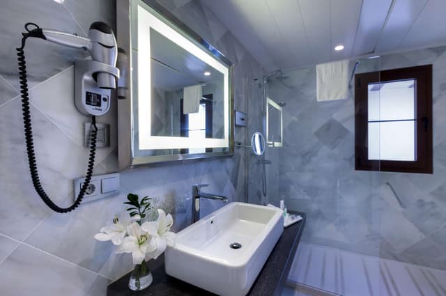 Premium Double or Twin Room · foto 5