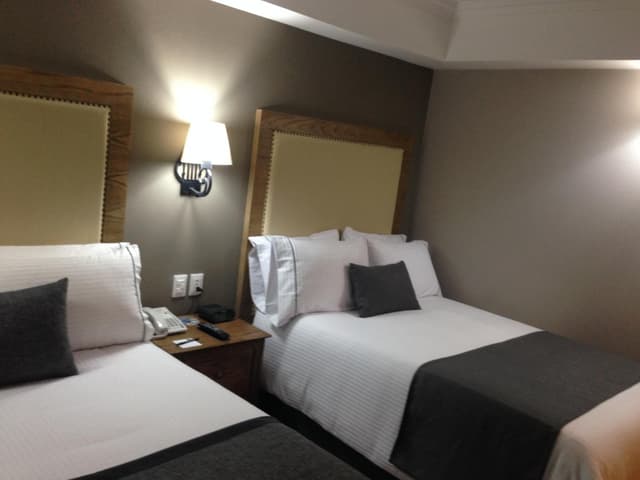 Standard Double Room with Two Double Beds · photo 1