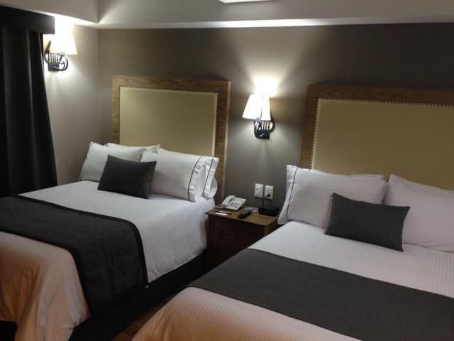 Standard Double Room with Two Double Beds · photo 3