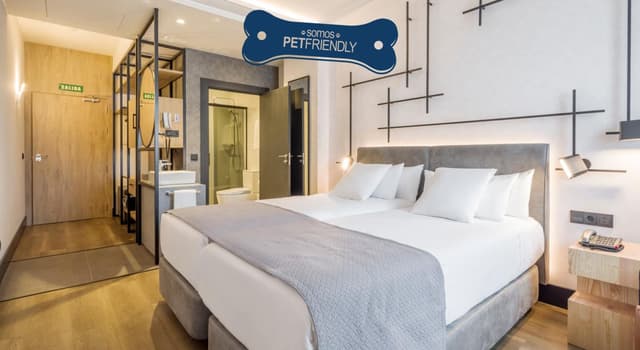 Habitación Doble Apta para Mascotas · foto 1