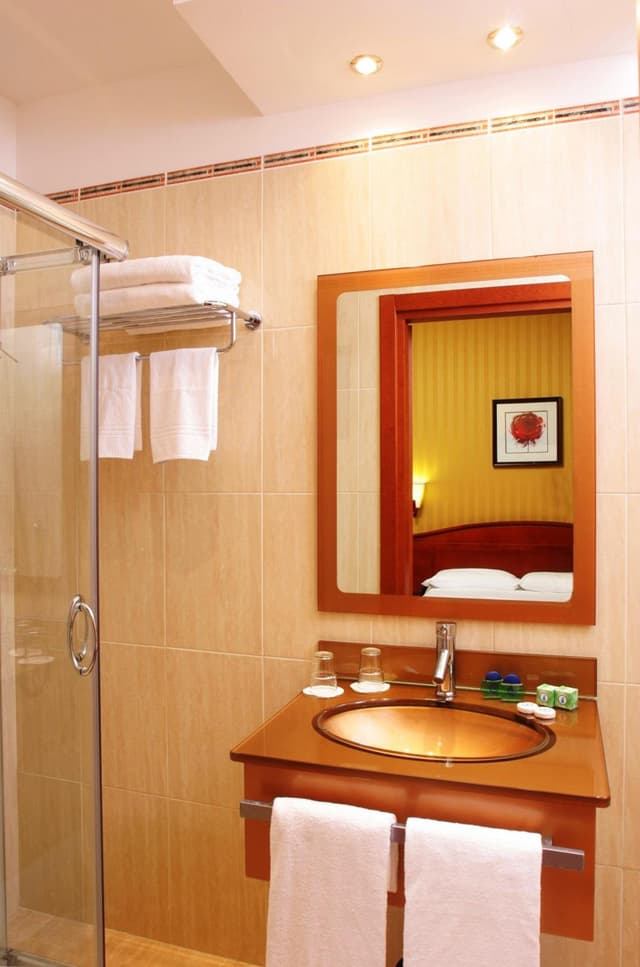 Single Room · photo 3