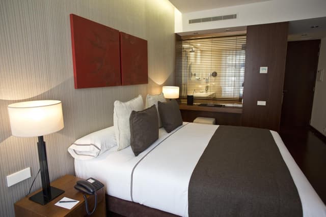 Carris Double or Twin Room · photo 7