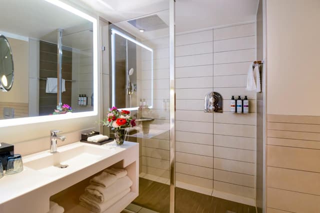 Habitación Deluxe King · foto 8