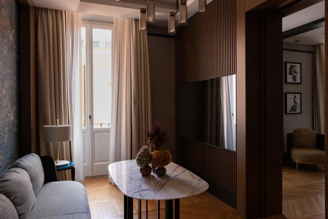 Deluxe Apartment · photo 4