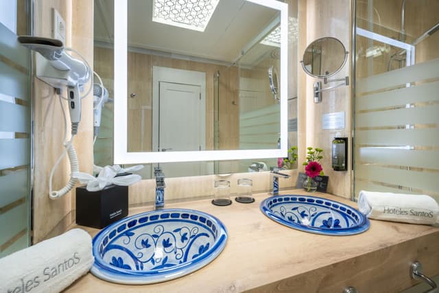 Deluxe Double Room · photo 7
