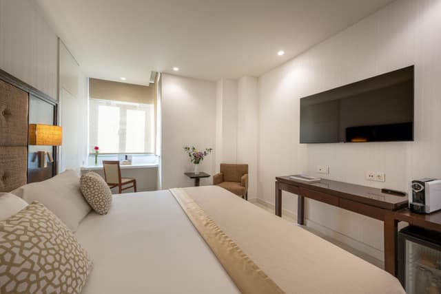 Executive Room · photo 5