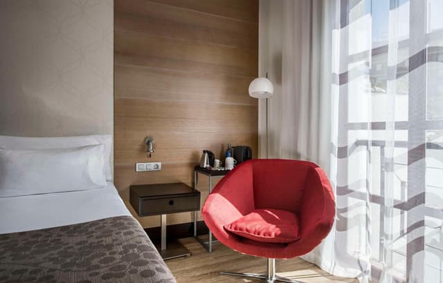 Superior Double or Twin Room · foto 7