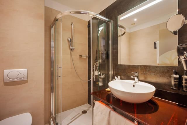 Deluxe Double or Twin Room · photo 4