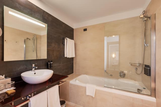 Deluxe Double or Twin Room · photo 8