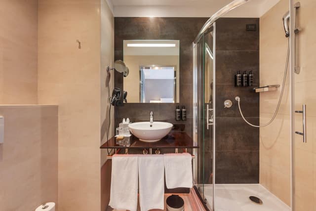 Deluxe Superior Room · photo 7